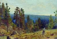 Wooded Landscape