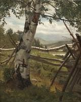 Summer Landscape with a Birch Tree