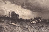 A Shepherd in the Field