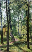 In the Woods