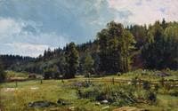 Meadow on the Forest Edge