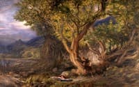 The Finding of Taliesin