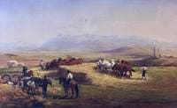 Italian Harvest Scene