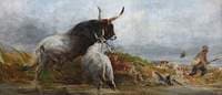 Alarmed: Cattle Chasing a Wild-Fowler
