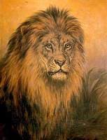 Lion's Head