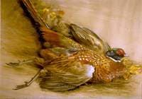 The Broken Wing