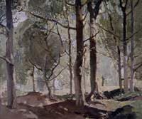 Woodland Scene, Sussex