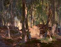 Morning in a Wood