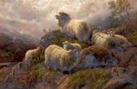 In the Trossachs, Stirling