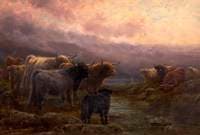 Evening in the Highlands