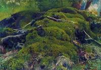 Mossy Roots
