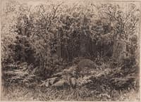 Anthill
