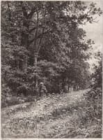 In the Woods