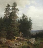 The Forest Edge