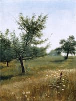 In the Orchard