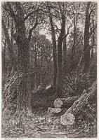 Woodcutting