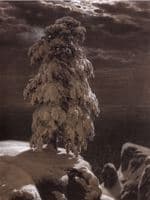 In the Wild North (study)