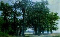 The Edge of an Oak Grove