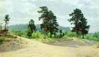 Forest Edge