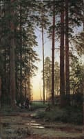 Forest Edge