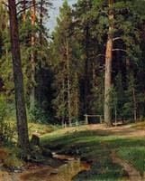 Forest Edge
