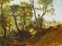 Forest Edge