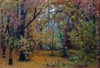 Forest in Autumn
