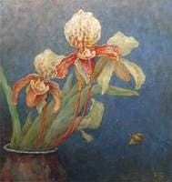 Orchids
