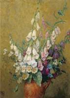 Foxgloves
