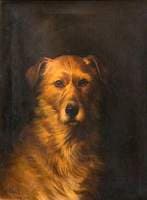 An Irish Setter, 'Dan'
