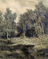 Landscape with Sheep
