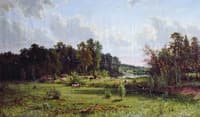 Midday