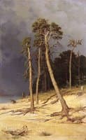Sandy Shore