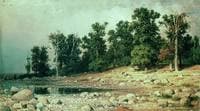 Grove in Sestroretsk