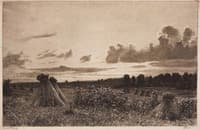 Field