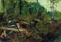 Wood Cutting