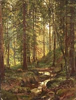 Forest Stream