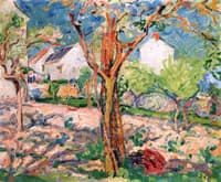 Orchard in Spring