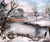 Snowy Landscape