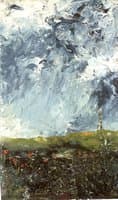 Flowers of the Moor
