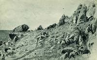 Rocks in Gurzuf