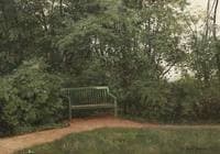 Bench in the Park
