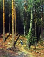 Pine Forest