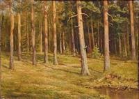 Pine Forest