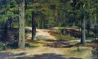 Pine Forest