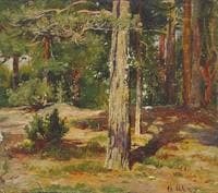 Pines