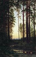 Twilight