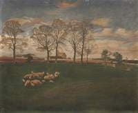 Sheep in a Field