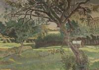 Wooded Landscape