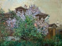 Lilacs